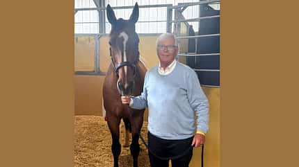 Hof Brinkmann, Wolfgang Brinkmann, Pikeur Lemar NRW, Pferdesport, Springpferd Wolfgang Brinkmann mit Pikeur Lemar NRW