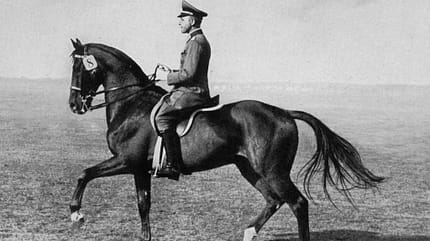 Dressur früher, 1930er Jahre, Pferde damals und heute, historisch, Viebig, Gimpel, Kavallerie August 1936: Viebig auf dem Pferd Gimpel bei der Dressurarbeit.