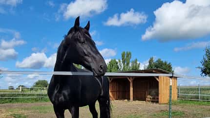 Beritt aus Leidenschaft Stall und Umland der Reitanlage in Fehrbellin OT Wall.