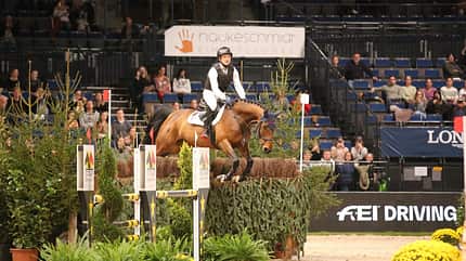 German Masters Stuttgart, Indoor-Vielseitigkeit, Vielseitigkeit, Michael Jung Michael Jung zur Indoor-Vielseitigkeit bei den German Masters in Stuttgart über dem Sprung