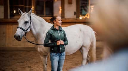 Stanglwirt, Mentaltraining, Mediation mit Pferden