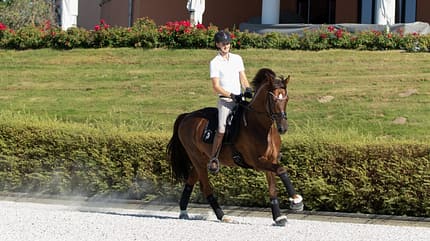 Moritz Treffinger mit seinem Pferd auf dem Außenplatz
