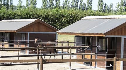 Außenställe und Paddocks auf Gestüt Bonhomme