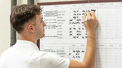 Moritz Treffinger beim Planen der Berittpferde an einer Tafel