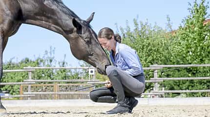 Eine Frau kniet auf dem Reitplatz, während das Pferd an ihr schnuppert.