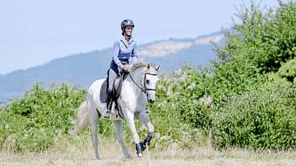 Eine Reiterin mit ihrem Schimmel beim Gelände-Ritt.