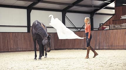 Yvet Blokesch, Fahnentraining, Bodenarbeit, Featherlight Academy, Fahnen Yvet Blokesch beim Fahnentraining mit Pferd in der Halle