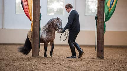 Richard Hinrichs, Richtung Richard Hinrichts erklärt, wie man die perfekte Richtung reitet.