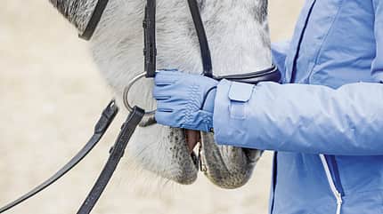 Abkauübung mit zwei Händen am Gebissring
