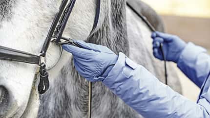 Zügelhaltung bei der Handarbeit