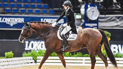 Dressur bei den German Masters in Stuttgart