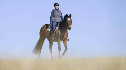 Ein entspannter Ausritt am langen Zügel ist ein großes Glück.