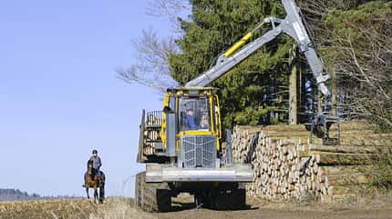 Ist das Pferd zuverlässig, stören auch große Fahrzeige im Wald nicht.