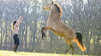 Emilia Schlotterbeck, Gala, Influencer, dancinghorses; Showreiterin, Falbe, Palomino Emilia Schlotterbeck mit ihrem Pferd Gala, die auf Kommando vor ihr steigt.