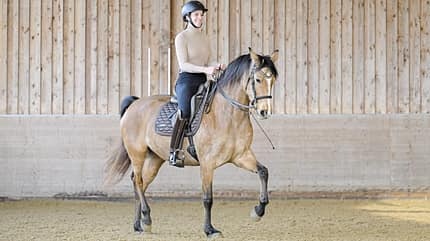 Emilia Schlotterbeck, Gala, Influencer, dancinghorses; Showreiterin, Falbe, Palomino, Dressur, Kandare Emilia Schlotterbeck mit ihrem Pferd Gala bei der Dressurarbeit unterm Sattel
