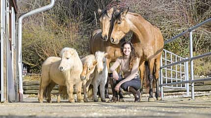 Emilia Schlotterbeck, Gala, Influencer, dancinghorses; Showreiterin, Falbe, Palomino, Shetty Emilia Schlotterbeck mit ihren Pferden auf ihrem eigenen Hof