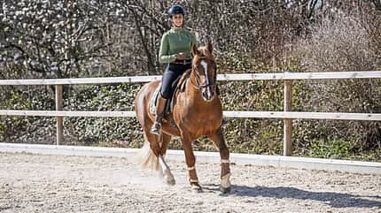 Stefanie Seebauer erklärt, wie der Einstieg in die Working Equitation gelingt.