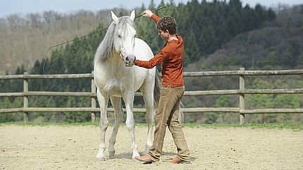 Horsemanship hat sich in den letzten 30 Jahren extrem gewandelt.