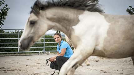 Freiarbeit ohne Scheuchen