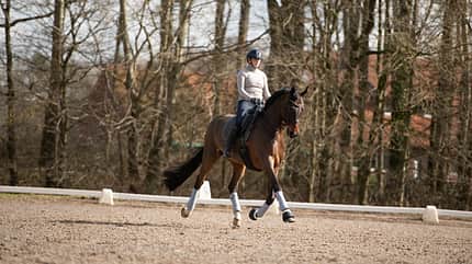 Klaus Balkenhol, Anabel Balkenhol, Dressur, Dressur-Ausbilder, Dressursport, Dressurreiten, Mitteltrab, Starker Trab, Trabverstärkung, Tempiwechsel Anabel Balkenhol auf dem Wallach High Five FRH im starken Trab durch die Bahn