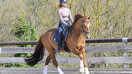Juliane Dörr Dressur Landeskader Bonito Finest Black Lady Nachwuchs-Dressurreiterin Juliane Dörr startete innerhalb eines Jahres durch und ist jetzt im Landeskader