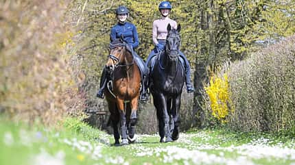 Juliane Dörr Dressur Landeskader Bonito Finest Black Lady Nachwuchs-Dressurreiterin Juliane Dörr startete innerhalb eines Jahres durch und ist jetzt im Landeskader