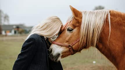 Eine blonde Frau hält ihren Kopf an die Stirn eines Haflingers mit gespitzten Öhrchen