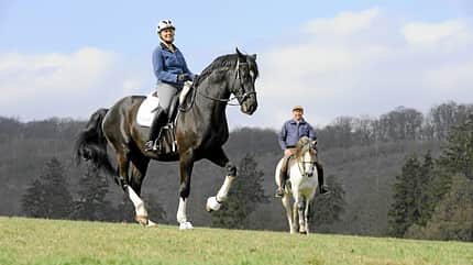 Uta Gräf und Stefan Schneider reiten zusammen auf einer Wiese