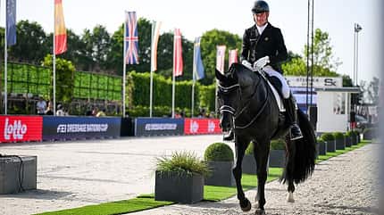 Justin Verboomen und sein Pferd Zonik Plus zum Dressur Nations Cup FEI CDIO4 in Lier