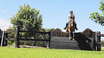 Springreiten, Reitsport, Pferd, Reiterin, Hindernis, Wettkampf, Outdoor, Sportlerin, Pferdesport Junge Frau auf einem braunen Pferd beim Springreiten über ein Hindernis auf einem Außenplatz unter blauem Himmel.