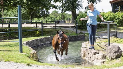 Wärmetherapie, Kältetherapie, Reha, Pferde-Reha, Katrin Obst, Behandlung, Wellness, Kneippen, Kneipp, Wasser, Sommer, baden Eine Frau führt ein Pferd durch ein Wasserbecken für eine Kneipp-Anwendung.