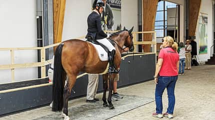 Reiterin auf Pferd in Reithalle bei der FEI Para-Dressage Europameisterschaft 2023 in Riesenbeck, Deutschland. Im Vordergrund eine Person mit "Germany"-Shirt, im Hintergrund weitere Personen und Werbebanner.
