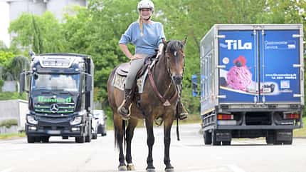 Yvonne Gutsche Bailey Stuntpferd Problempferd Show Lieblingspferd Lieblingspferde unserer Experten: Bailey und Yvonne Gutsche