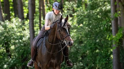 Reiten, Pferd, Reithelm, Dressurplatz, Wald, Warendorf, Trainertag, Cavallo, Ridingtogether, Reitsport, Pferdesport, Anna Den, Ausreiten, Gelände, Beziehung, Loben, entspannt Anna Den mit ihrem Pferd auf einem Sandplatz im Grünen. Die Szene spielt sich im Freien ab, umgeben von Bäumen und dichter Vegetation. Sie trägt Reitbekleidung und sitzt entspannt auf dem Pferd.