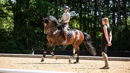 Reittraining, Dressur, Pferd, Reiterin, Trainerin, Außenplatz, Warendorf, Cavallo, Trainertag, Ridingtogether, Anna Den, Katharina Hemmer, Reitstunde, Reitunterricht, Training, Dressur, beobachten Reittraining auf einem Außenplatz mit Anne Den auf Feiner Prinz und Katharina Hemmer daneben. Die Szene spielt bei sonnigem Wetter vor einem bewaldeten Hintergrund.