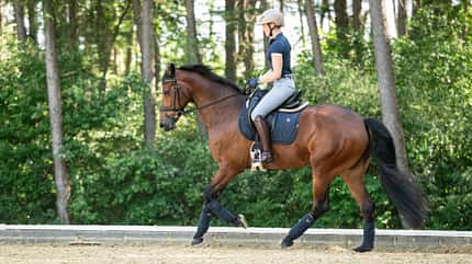 Reiten, Dressur, Reiterin, Helm, Pferd, Reitplatz, Wald, Trainertag, Warendorf, Cavallo, Galopp, Dressur, Training, Reitplatz Antonia Baumgart beim Dressurtraining auf einem Sandplatz im Wald, Fokus auf Reitausrüstung und Sitz.