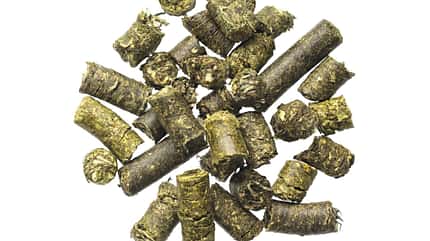 Agrobs Teffcobs lose, Pferdefutter, Futterpellets, Einzelfuttermittel, Freisteller, Tierernährung, Agrobs, Futterprodukt, Produktfoto, Pellets Freisteller von Agrobs Teff-Cobs lose auf weißem Hintergrund, Produktaufnahme.