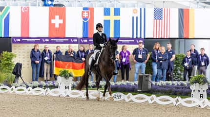 Mispelkamp Regine, GER, Highlander Delight's, Para-Dressur, Para-Dressage, Reitstadion Soers, Aachen, Reiten, Reitsport, Equestrian, Reit-WM, FEI Para-Dressage World Championship, Grade V, Test A AACHEN - FEI World Championships 2026: Regine Mispelkamp in der Bahn mit ihrem Dunkelfuchs Highlander Delight's.