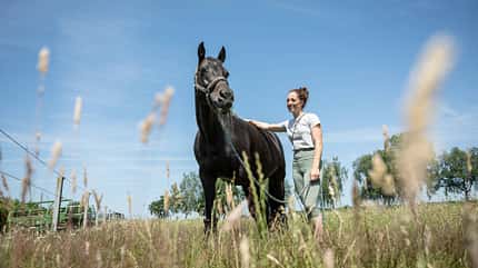 Julis Eventer, Juliane Wyrwol, Vielseitigkeit, Reitsport, Pferd, Reiterin, Pferdeweide, Halfter, Führstrick, Freizeitreiten, Sommerwiese, Cavallo Das Foto zeigt ein schwarzes Pferd mit Halfter, das von Juliane auf einer Weide an der Hand geführt und am Hals gestreichelt wird. Die Weitwinkelaufnahme zeigt hohes Gras im Vordergrund und einen klaren blauen Himmel; das Tier ist über einen Führstrick gesichert und kaut auf Grashalmen.