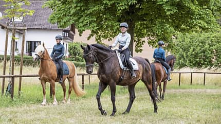 Reitsport, Reitunterricht, Reitergruppe, Pferd, Reitplatz, Reitausrüstung, Reithelm, Dressurreiten, Reitschule Die Aufnahme zeigt drei Personen auf gesattelten Pferden bei einer Trainingseinheit auf einem grasbewachsenen Reitplatz im Freien. Alle tragen Reithelm und englische Reitausrüstung; im Hintergrund sind ein Holzzaun, Bäume und ein Hofgebäude zu sehen.