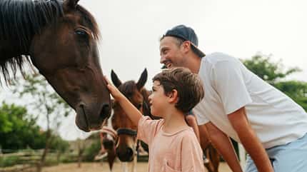 Aktionswoche Vielfalt Pferd, Familie mit Pferd, Kinder und Pferd, Reiten lernen, Therapiepferd, Offenstall, Ranch, Vater und Sohn, Junge und Pferd, Pferd streicheln, Reitschule, Reitverein Ein Vater mit seinem kleinen Sohn beim Pferde streicheln in einem Offenstall.