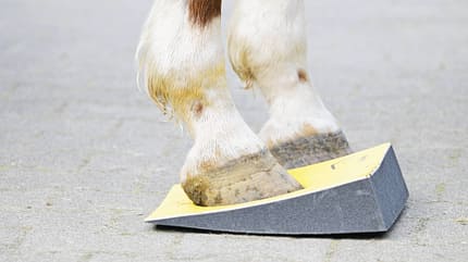 Das Foto zeigt das Dehnen der palmaren Strukturen an einem Pferdebein. Der Huf steht auf einem gelben, keilförmigen Block, der Sehnen- sowie Bandstrukturen im Bereich von Huf und Fessel mobilisiert.