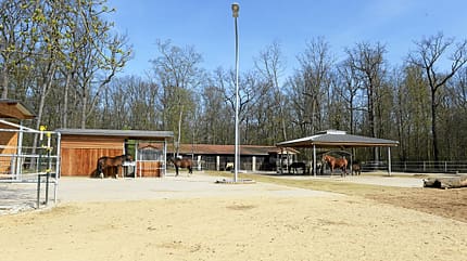 Offenstall, Paddock, Reitstall, Pferdehof, Pferdehaltung, Stallanlage, Weideunterstand, Reitanlage, Koppelzaun Das Foto zeigt eine Reitanlage mit Offenstall- und Paddock-Bereichen, in denen mehrere Pferde stehen. Holzställe, überdachte Weideunterstände und Metallzäune strukturieren den sandigen Auslauf.
