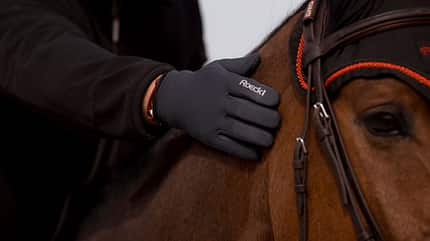 Reithandschuhe Winterreithandschuhe Handschuhe Roeckl Winterhandschuhe für Stall und Reiten