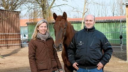 CAV Stall Scout 03_2014 Aktivstall Heinrichshof Andrea und Michael Frenger 1
