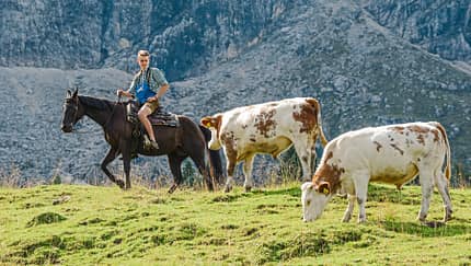 cav-201810-cowboy-lir9800--mit-TEASER-v-amendo (jpg)