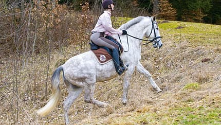 CAV Geländelektionen Bergauf