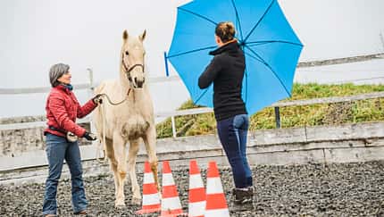 cav-mutmacher-teil-3-bild-2-lir3436-mit-TEASER (jpg)