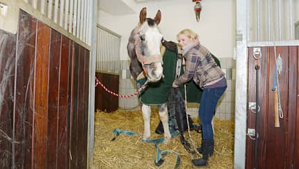 CAV Yvonne Gutsche Amour Tierschutz