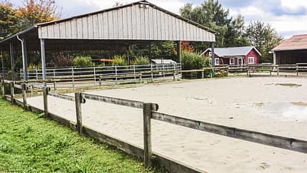 CAV Reitschultest Kassel Aufmacher Artikel